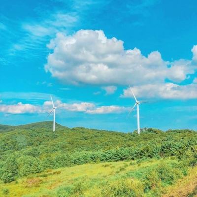 双城对决游戏下载