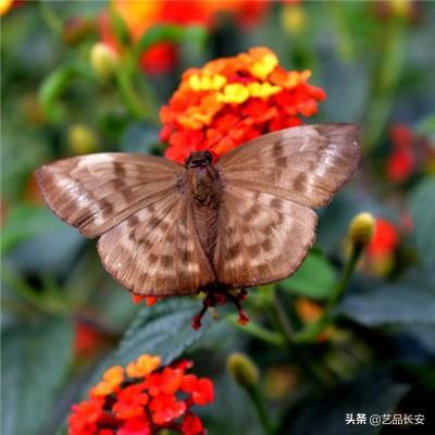 鬼语迷城游戏下载
